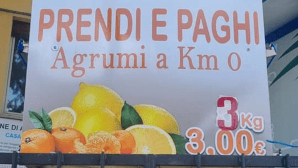 Successo dell’”operazione fiducia” Prendi e Paghi: agrumi venduti senza venditore ad Aci Bonaccorsi
