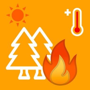 Emergenza caldo a Palermo: avviso n.181 della Protezione Civile per rischio incendi e ondate di calore
