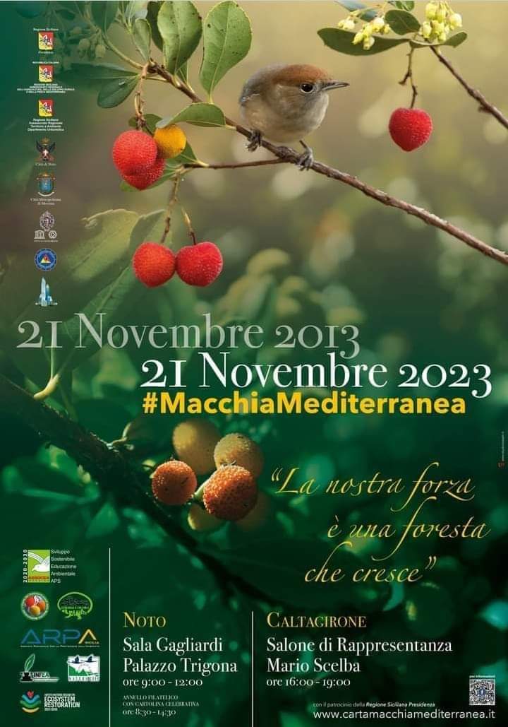 Giornata nazionale degli alberi e Settimana regionale della macchia mediterranea: un&#8217;iniziativa ecologica per coinvolgere i bambini e premiare l&#8217;Iis Cucuzza-Euclide