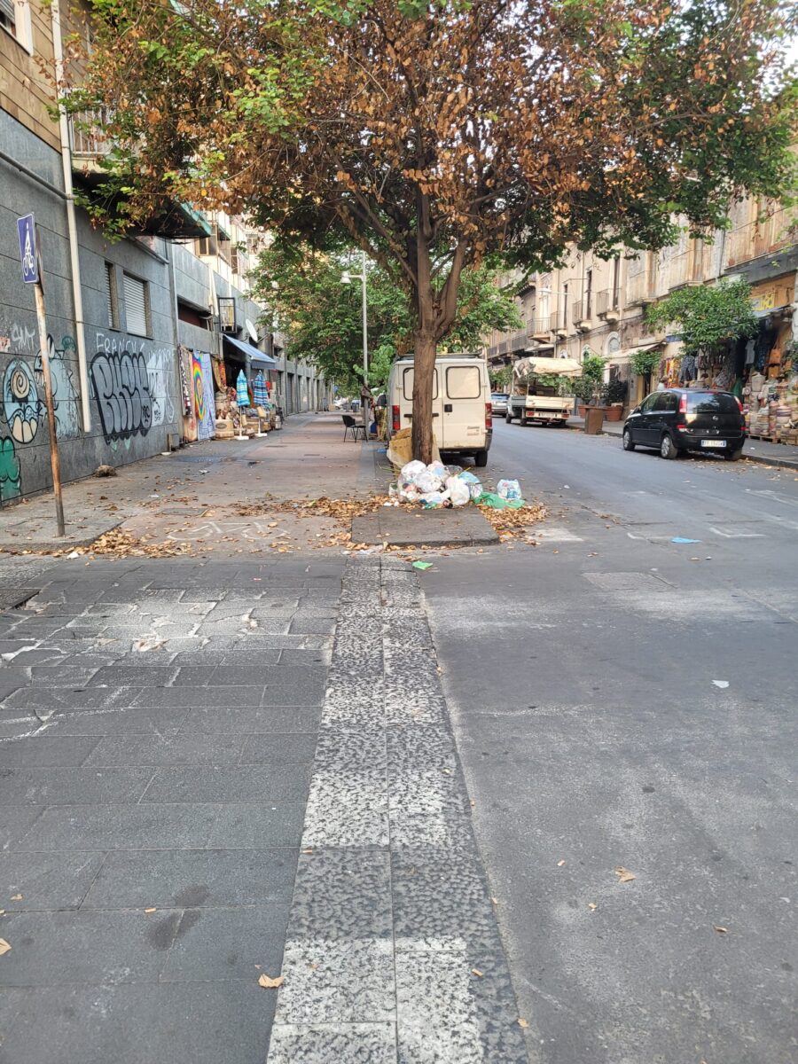 Multati cittadini incivili che usano gli alberi come discariche: il Comune di Catania agisce