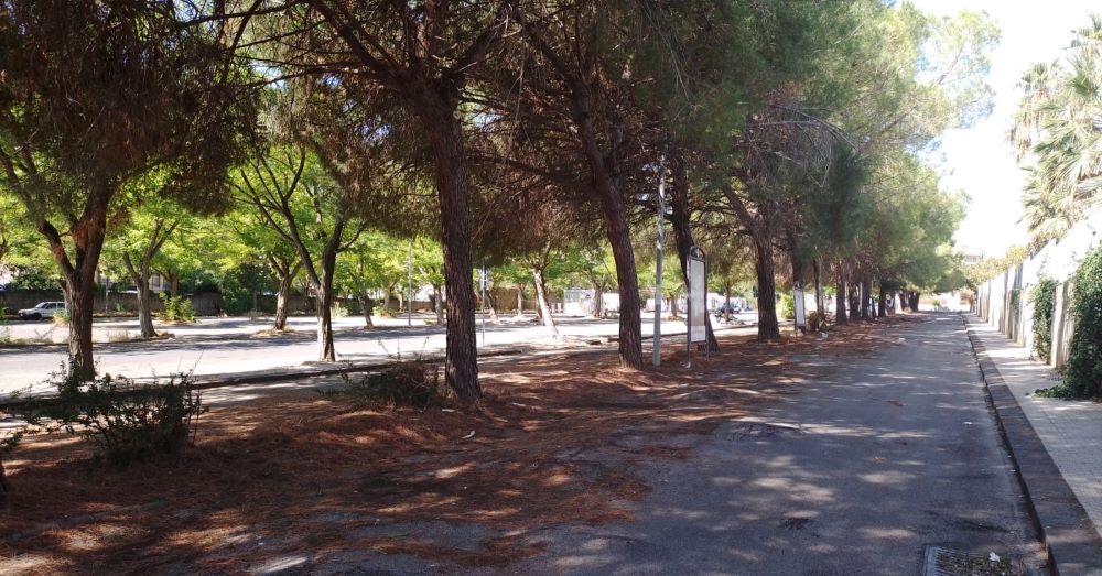 Ordinanza di sgombero a Caltagirone: caravan e roulotte vietate nei parcheggi comunali per motivi di igiene e sicurezza
