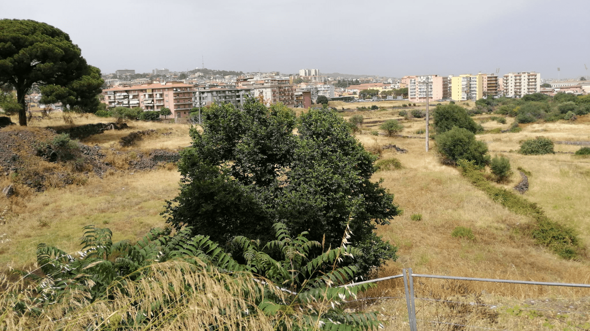 La proposta di una task force di cittadini ed esperti contro il pericolo incendi