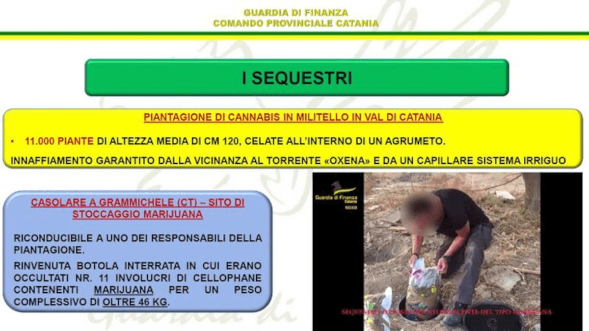 La droga protetta dal clan: 21 arresti per traffico di droga a Catania, ecco i nomi dei mafiosi