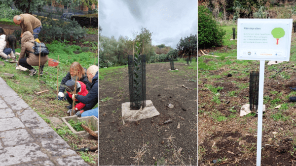 Azienda privata dona 1.000 nuovi alberi nel Parco degli Ulivi, piantati da dipendenti e famiglie