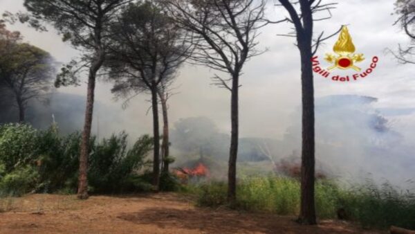 Boschetto della Playa in fiamme, bruciati 5mila metri quadri di vegetazione