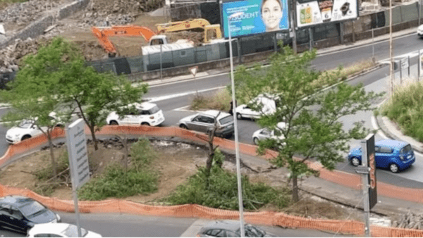BRT: gli alberi sradicati per il cantiere in zona Fasano saranno rimpiazzati a spese dell’impresa