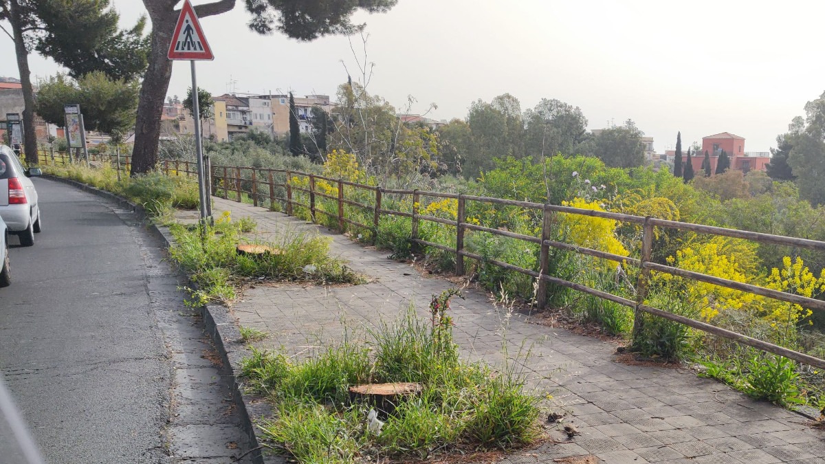 Buche, avvallamenti e sterpaglie sui marciapiedi di Catania: richiesti interventi urgenti