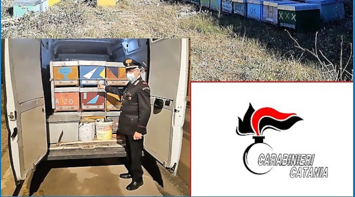 Caltagirone: carabinieri ritrovano 46 arnie rubate, del valore di oltre 8.000 euro