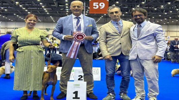 World Dog Show, un vincitore palermitano all'esposizione canina a Ginevra. Ecco chi è