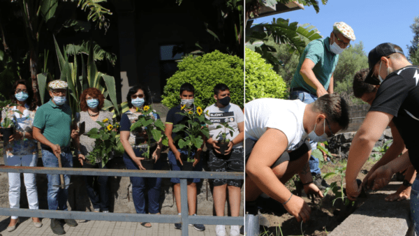 I “girasoli della Legalità”: il progetto coi fiori come simbolo di legalità e giustizia all’Istituto “Fermi-Eredia”