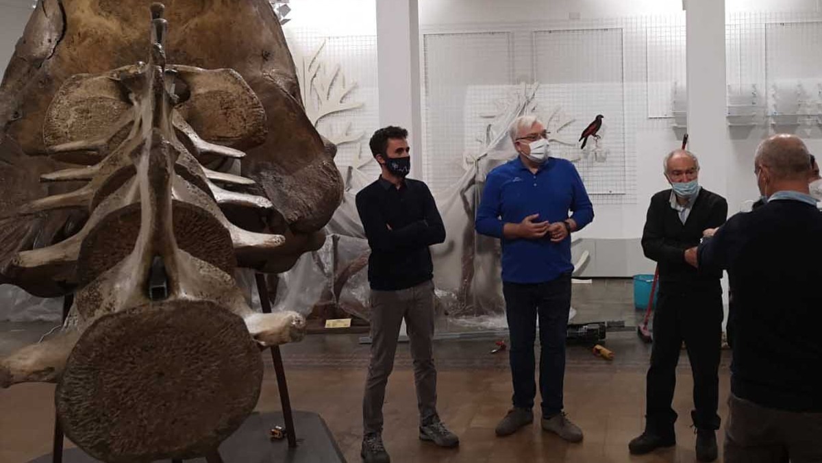 Il Museo di Zoologia di Catania si veste di nuovo: a breve verrà riconsegnato alla città