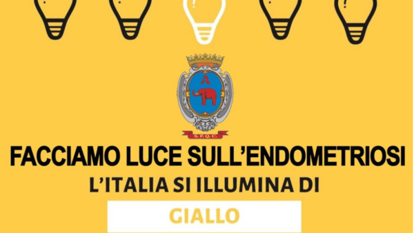 Il Palazzo degli Elefanti sarà illuminato di giallo per la giornata mondiale dedicata all’endometriosi