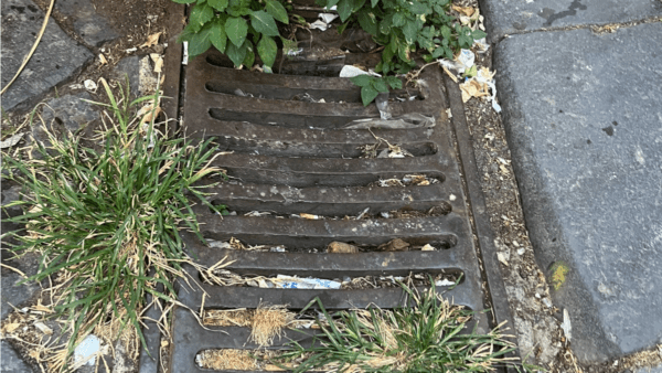 In vista delle stagioni di pioggia i tombini a Catania sono per lo più otturati