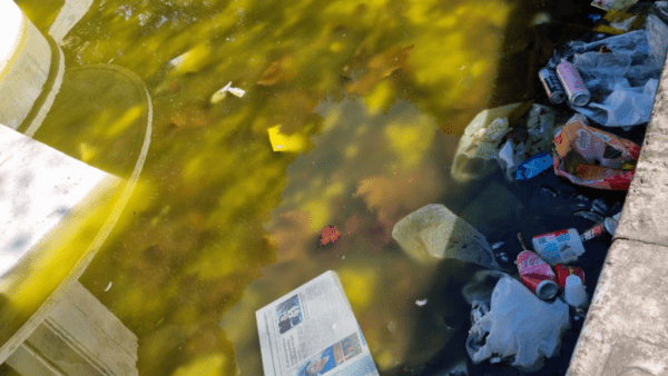 La fontana di piazza Santa Maria di Gesù rispecchia degrado, incuria e inciviltà catanese