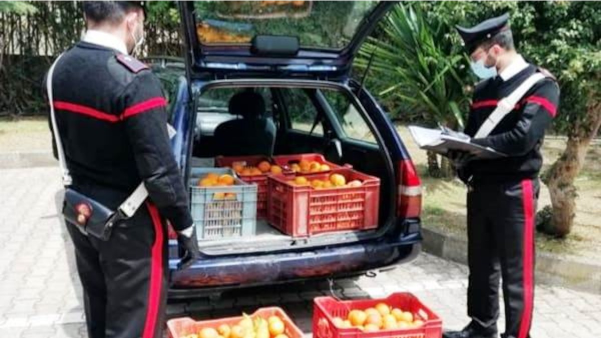 Ladri di arance sorpresi in auto durante controllo dei Carabinieri in contrada Jungetto: denunciati
