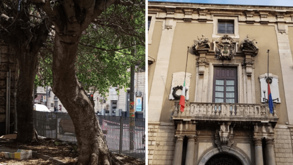 Largo Pascoli, il Comune smentisce la notizia dell'abbattimento dei due alberi