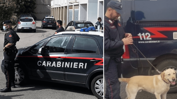 Librino: s’accorge dei militari e nasconde la cocaina nelle mutande ma il labrador Ivan non si fa ingannare