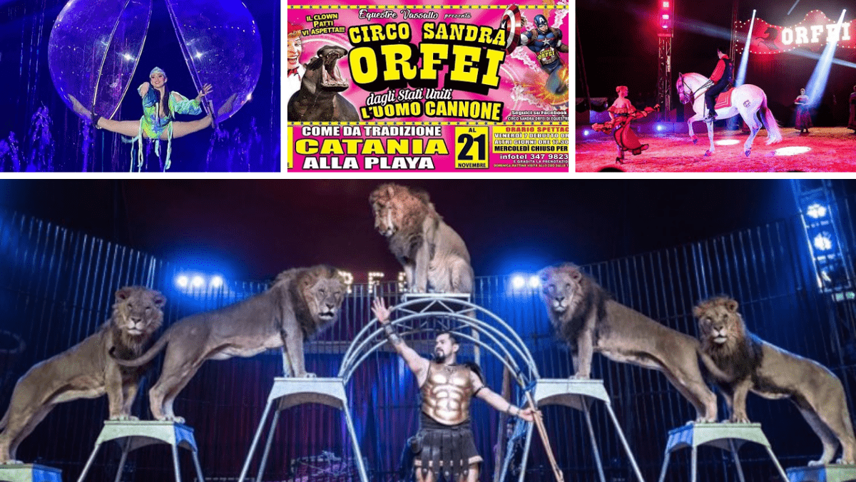 L'incantevole e spettacolare show del Circo Sandra Orfei è arrivato a Catania (DOVE E QUANDO)