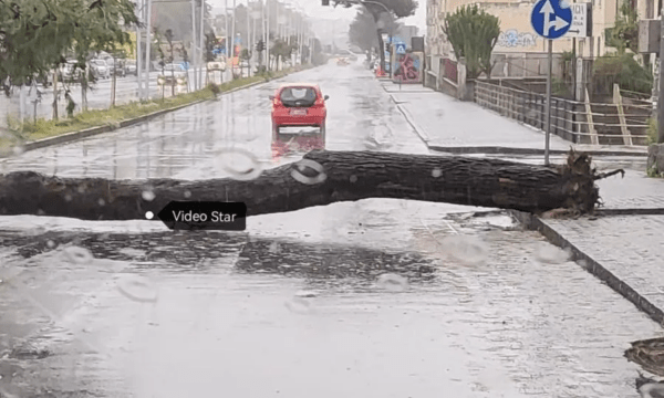 Maltempo a Catania, si contano i primi danni: sfiorata tragedia sulla circonvallazione