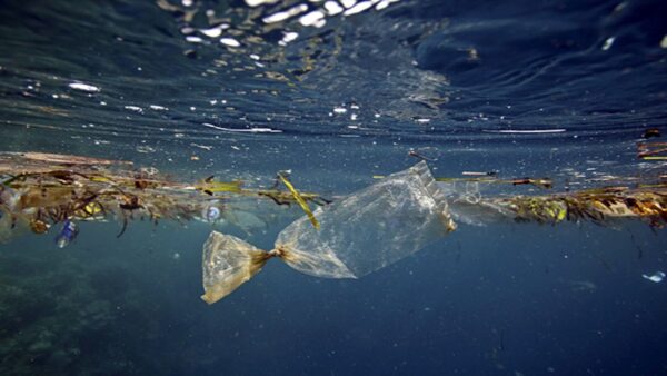 Microplastiche in profondità: l'ultima scoperta dell'Università di Catania