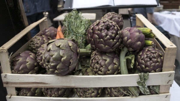 Motta Sant'Anastasia, 34enne viola obbligo di soggiorno e si improvvisa venditore di carciofi