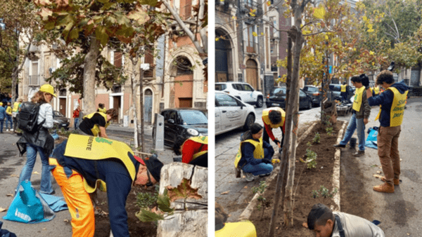 Nuove piante a Piazza Dante, Legambiente e altri volontari ripuliscono le aiuole