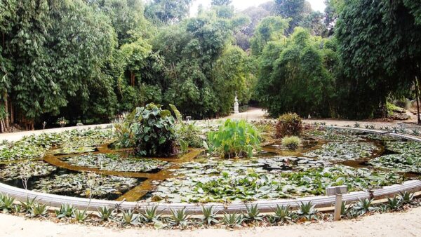 Orgoglio rosanero: è a Palermo l'orto botanico più grande d'Europa
