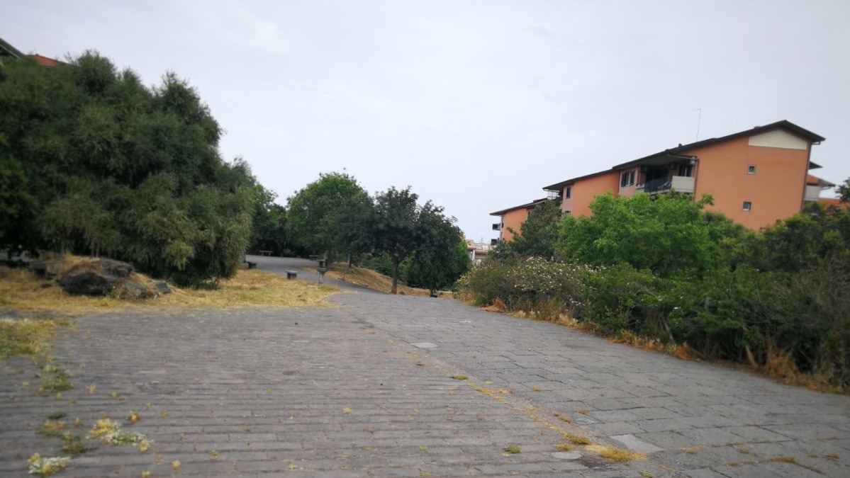 Parco degli Ulivi, Buceti: "Il mio programma di riqualificazione non si è mai fermato"