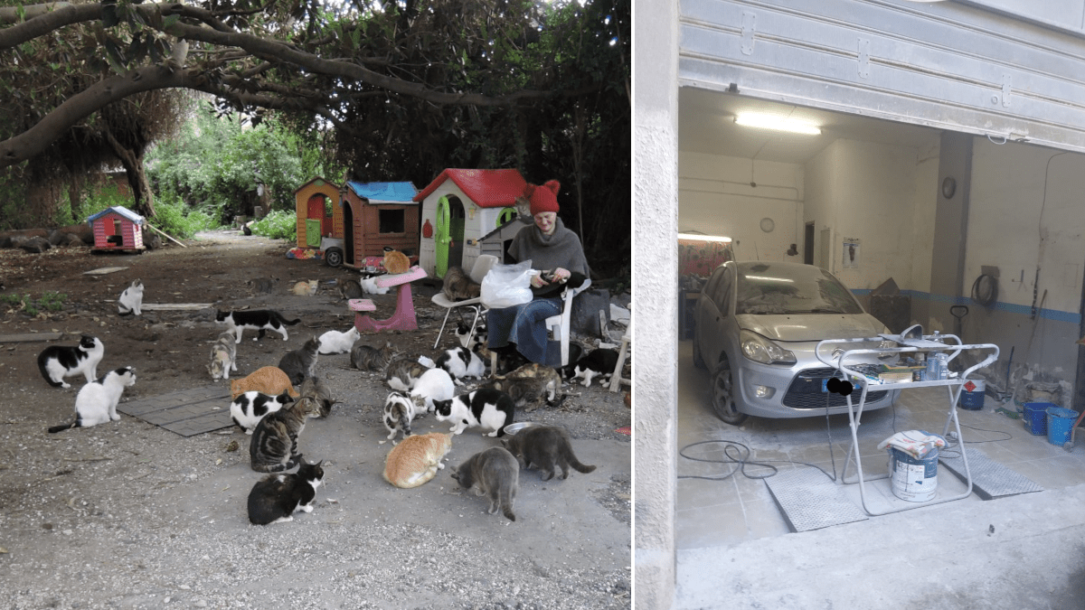 Polizia Municipale salva 50 gattini da un incendio, sequestra carrozzeria e verbalizza 180 persone (I FATTI)