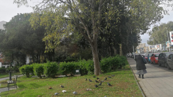 Progetto di riqualificazione, nuove aree attrezzate al Parco Falcone e Maria Teresa di Calcutta