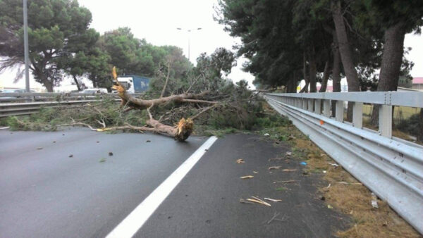 Raffiche di vento, cade un albero sull'A18: ferite tre persone