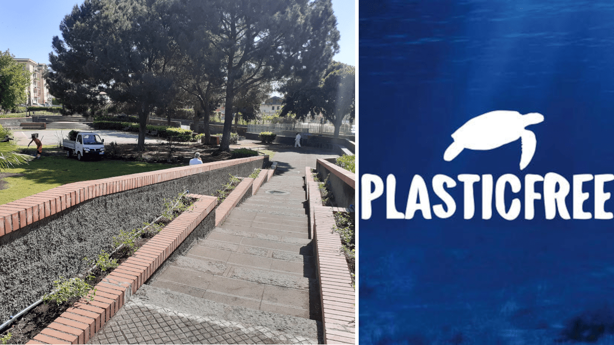 Riqualifichiamo il parco di Fasano: ritorna per il terzo mese consecutivo l’iniziativa Plastic Free aperta ai cittadini