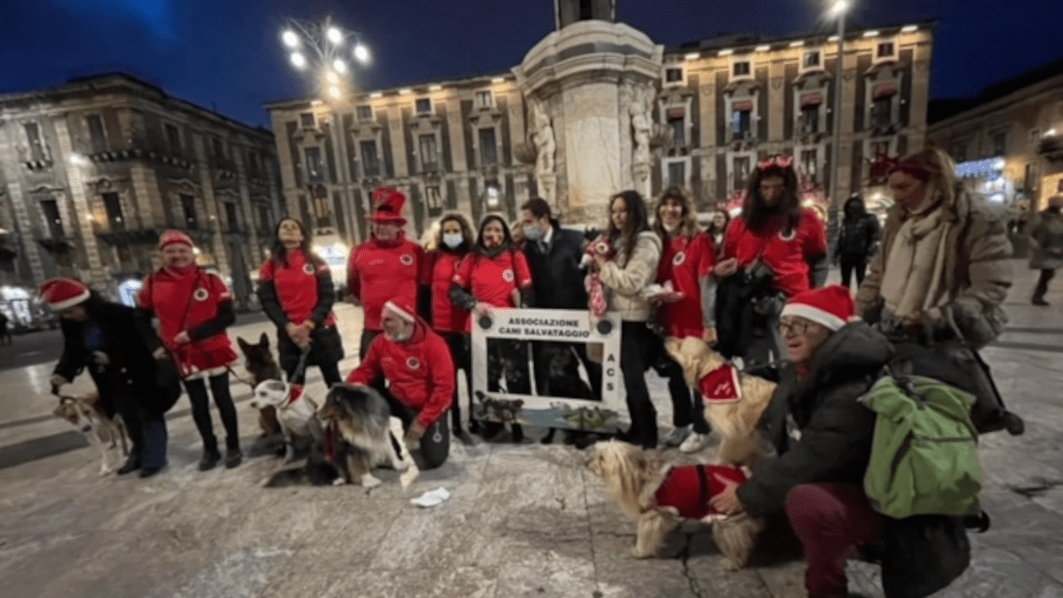 Sfilata natalizia dei cani per il salvataggio al centro storico per sensibilizzare al primo soccorso
