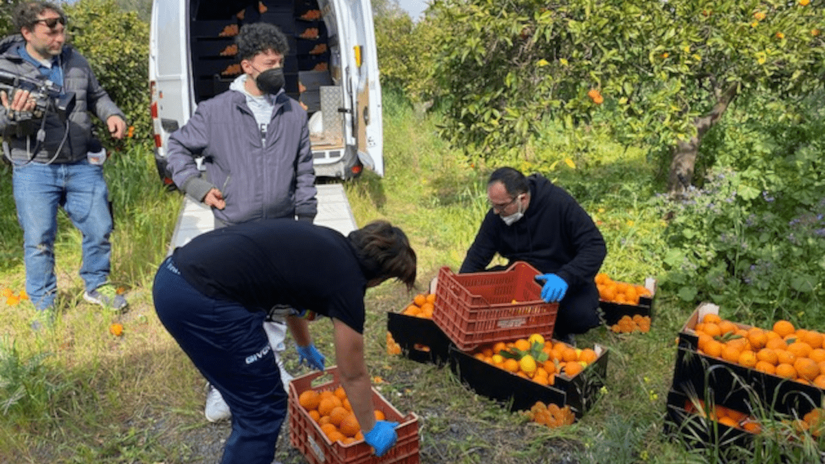 Volontari dell’associazionismo riuniti nell’agrumeto confiscato alla mafia