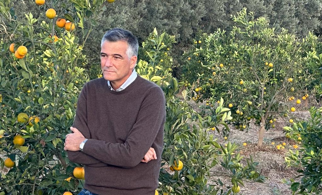 Arancia Rossa di Sicilia IGP chiede azione contro le malattie degli agrumi