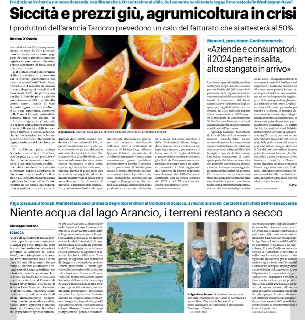Coldiretti Sicilia: focus sull'agrumicoltura