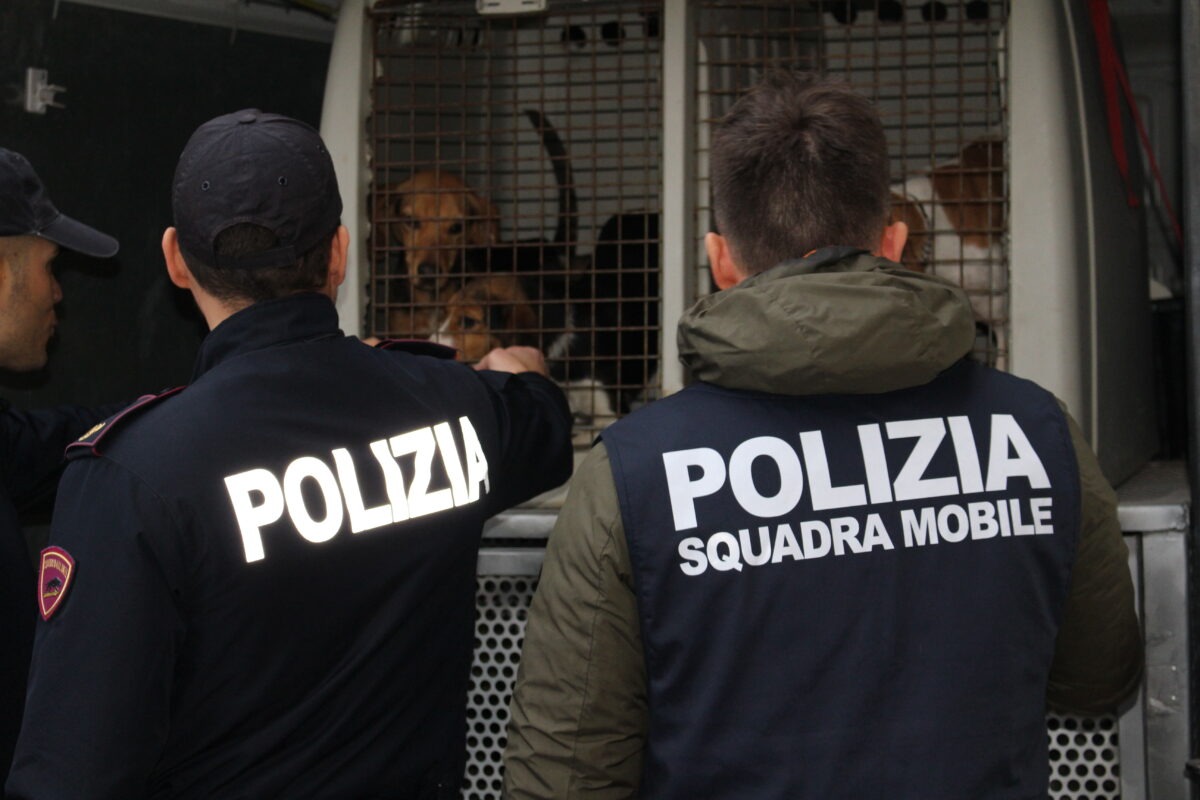 Operazione contro maltrattamento animali a Niscemi: uomo denunciato dalla Polizia di Stato
