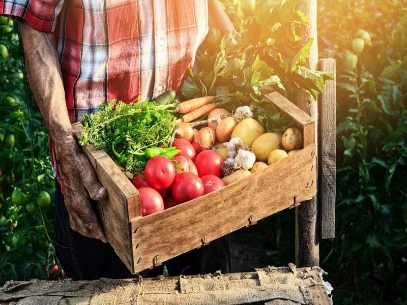 Psr 2014-22: Superato obiettivo di spesa, slancio per l'agroalimentare siciliano