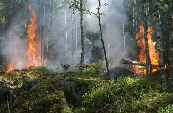 Rafforzare la sinergia istituzionale per tutelare l'ambiente: il commento dell'ANCI Sicilia.