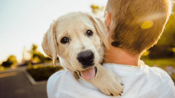 Sconto Tari del Comune di 200 Euro per chi adotta un cane