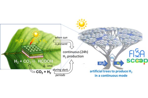 Università di Messina: Progetto SCOOP finanziato dal MUR per sviluppare un albero artificiale produttore di H2 dalla luce solare