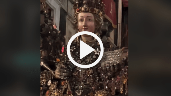 Meno di un mese per rivedere la Patrona di Catania: l’emozione di Sant’Agata in video