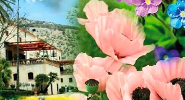 Collettiva d'arte 'Rose e Fiori' a Villa Niscemi Palermo dal 1 all'11 Marzo