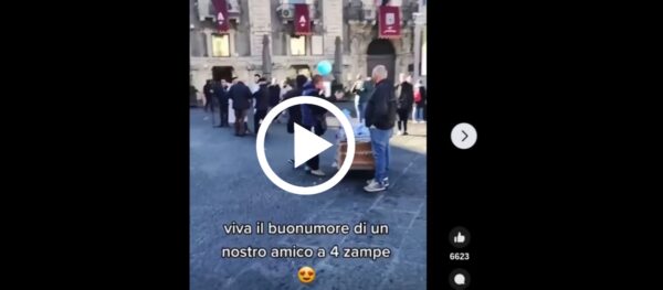 "Il video più divertente che vedrai oggi", guarda che è successo a Catania [VIDEO]