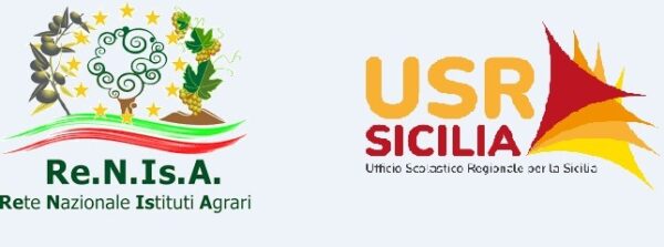 Costituito Gruppo di Lavoro per Convegno RENIsA 2024