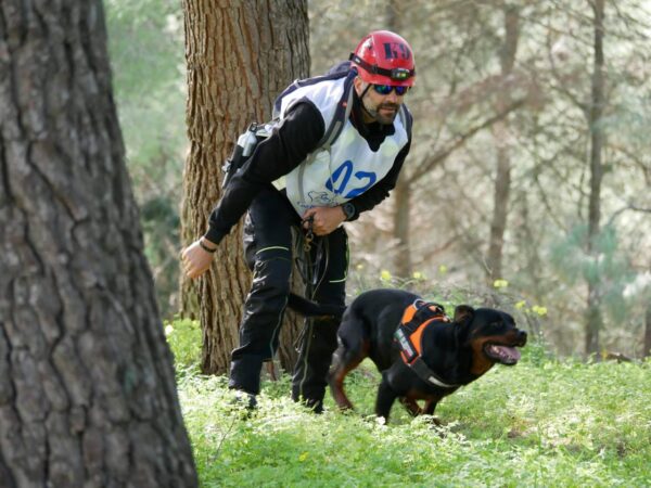 Prove operative concluse con successo per cani da soccorso in Sicilia