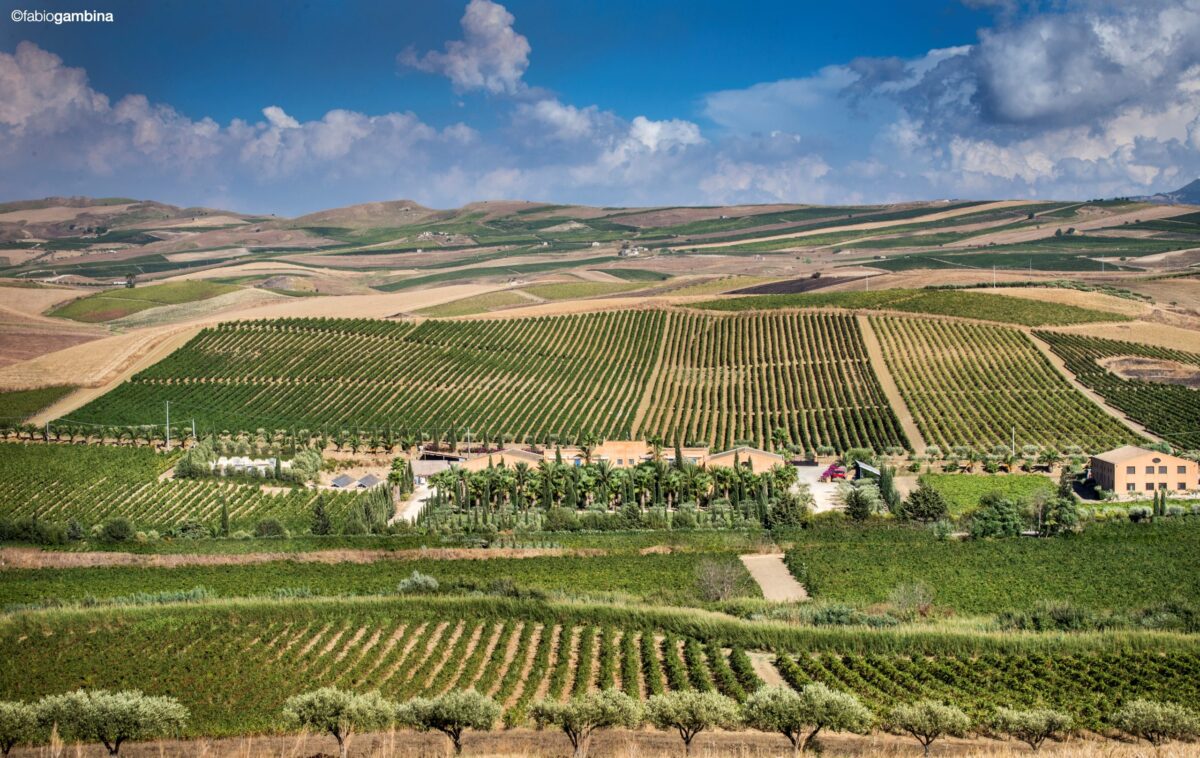 Donnafugata celebra la primavera con lo Chardonnay Opera Unica 2018