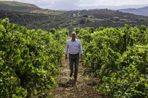Feudo Disisa esalta i vitigni della Doc Monreale al Vinitaly 2024