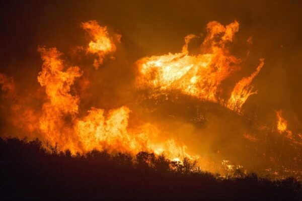 Prevenzione incendi boschivi: ordinanza del sindaco Basile del Comune di Messina 2024