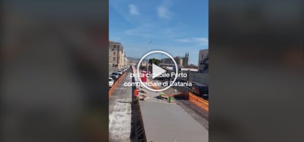 Pista ciclabile al Porto si o pista no? Un TikTok mette tutti d'accordo (o quasi!) [VIDEO]